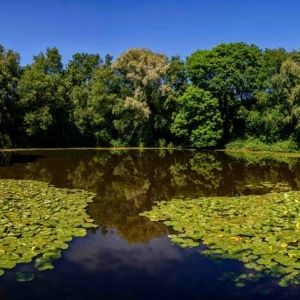Het vergeten landschap