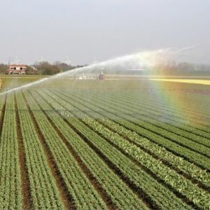 Landschap in transitie