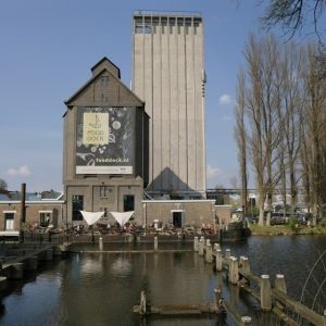 De donkere plannenwolk