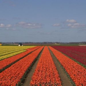 Maak ruimte voor de toekomst